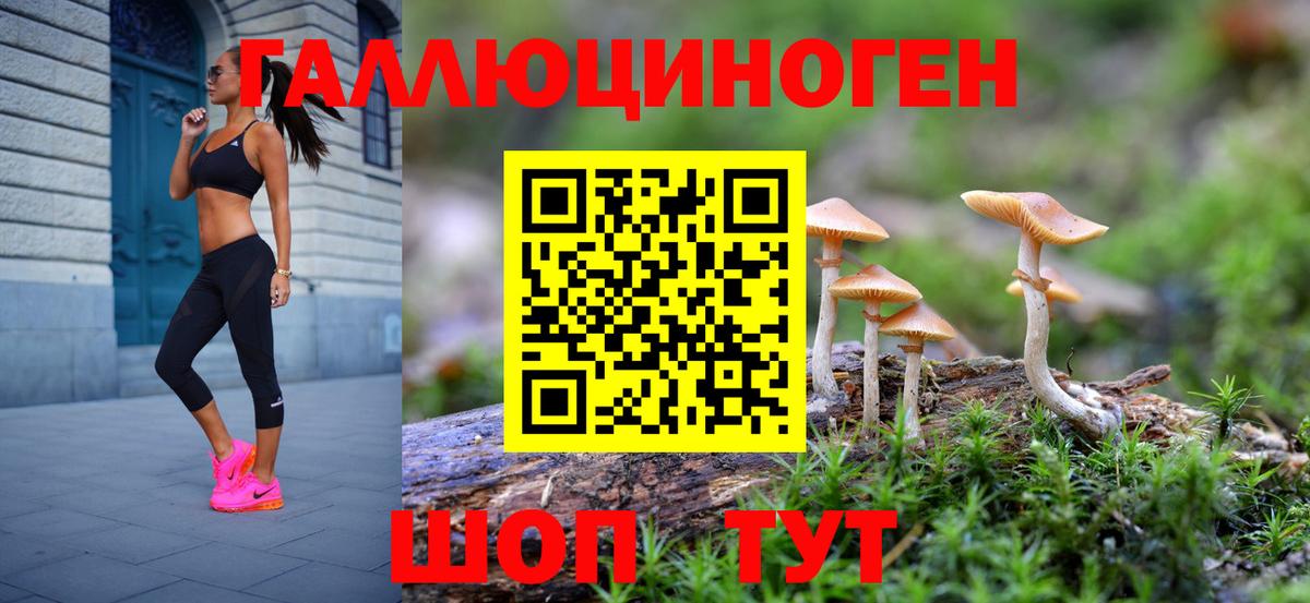 Мариинск  Псилоцибиновые грибы GOLDEN TEACHER  Вход с VPN 
